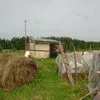 сельхозугодия 20ГА фермерское хозяйство в Мосальске 13